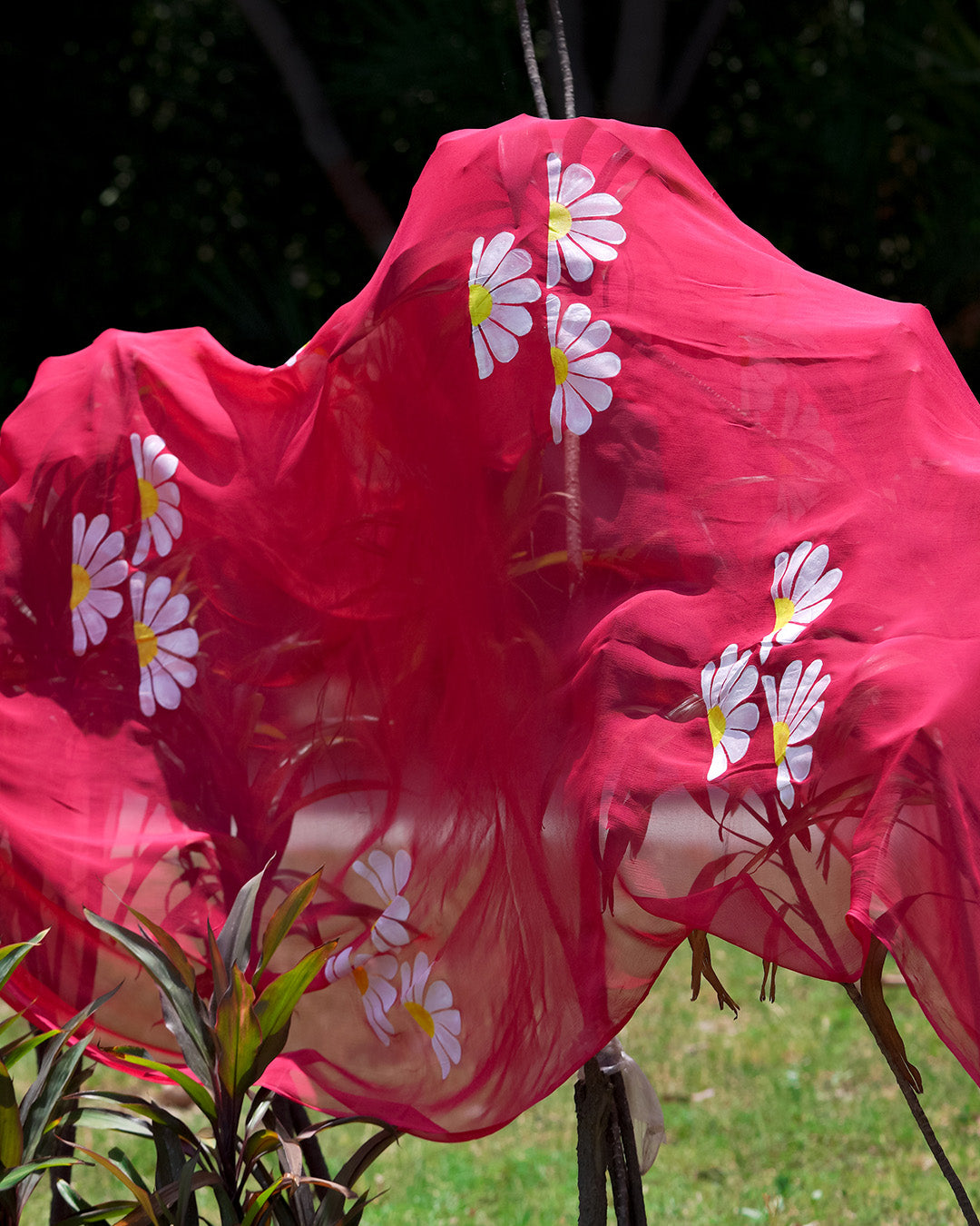 Nocturno • Chiffon Dupatta