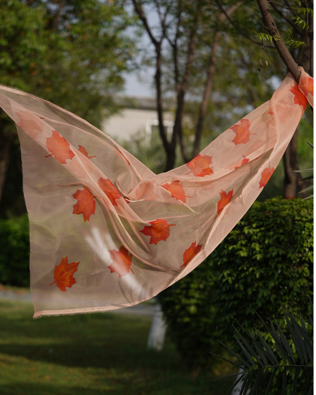 Momiji • Organza Dupatta