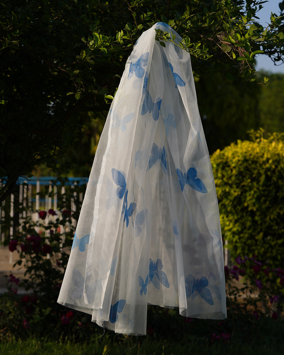 Monarch • Organza Dupatta