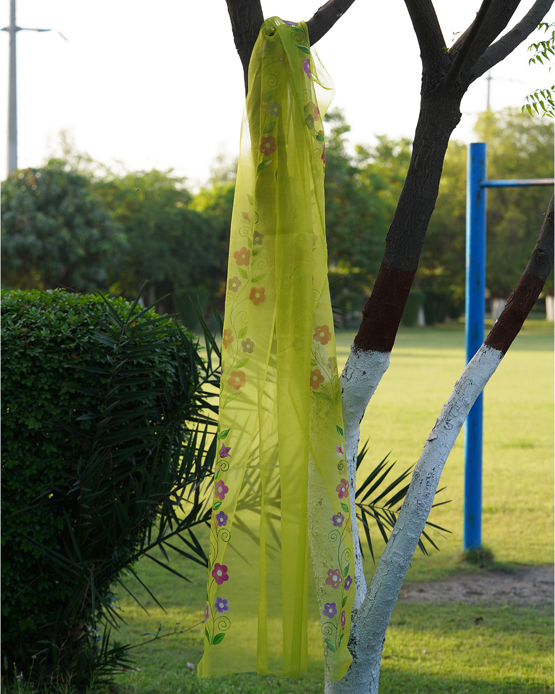Primroses • Organza Dupatta