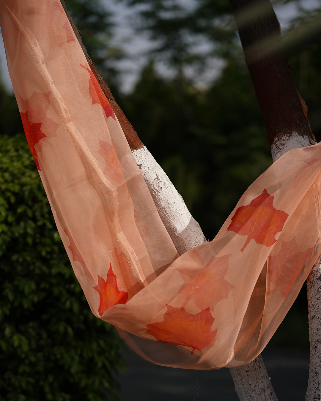 Momiji • Organza Dupatta