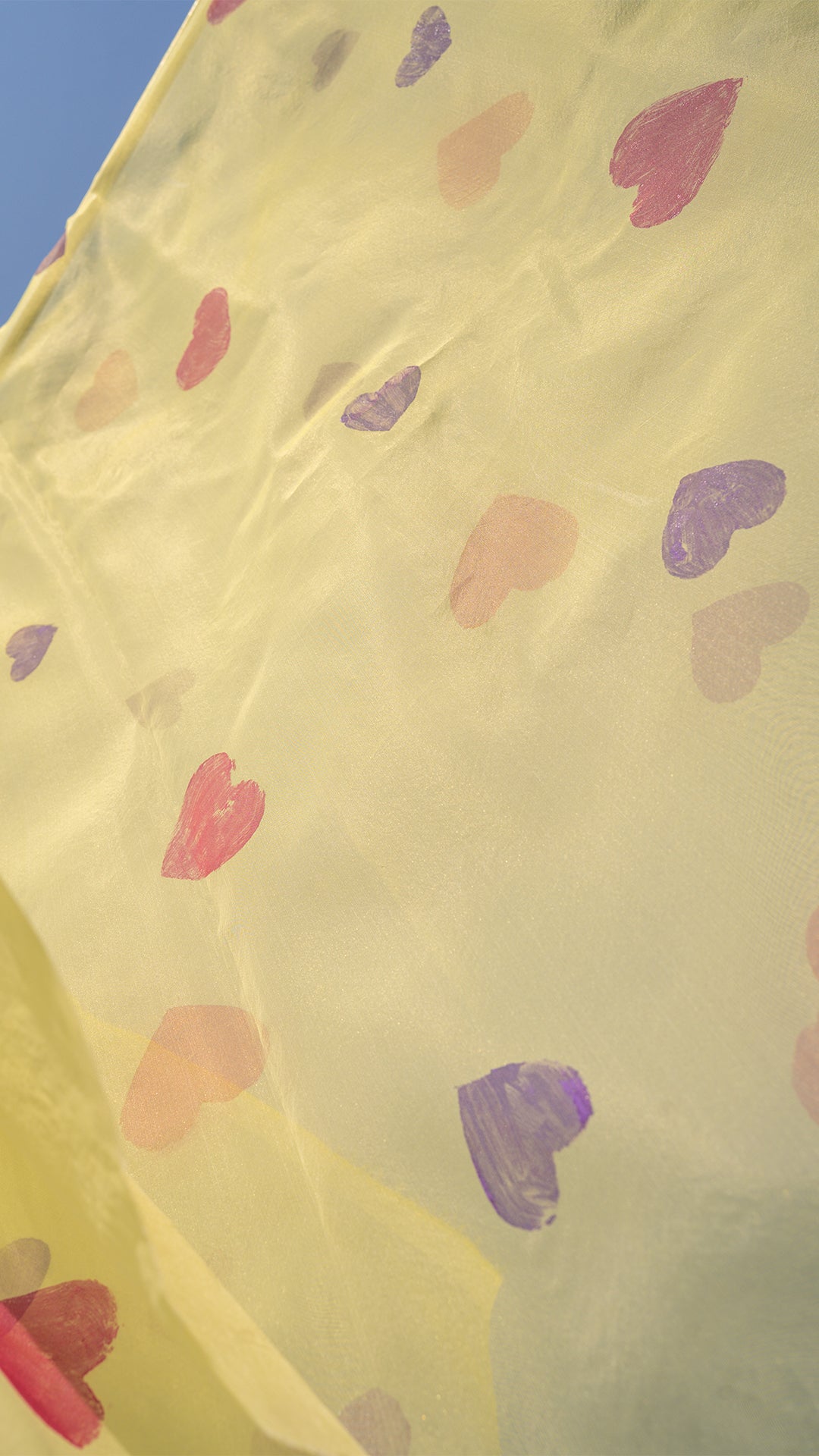 Hearts • Organza Dupatta