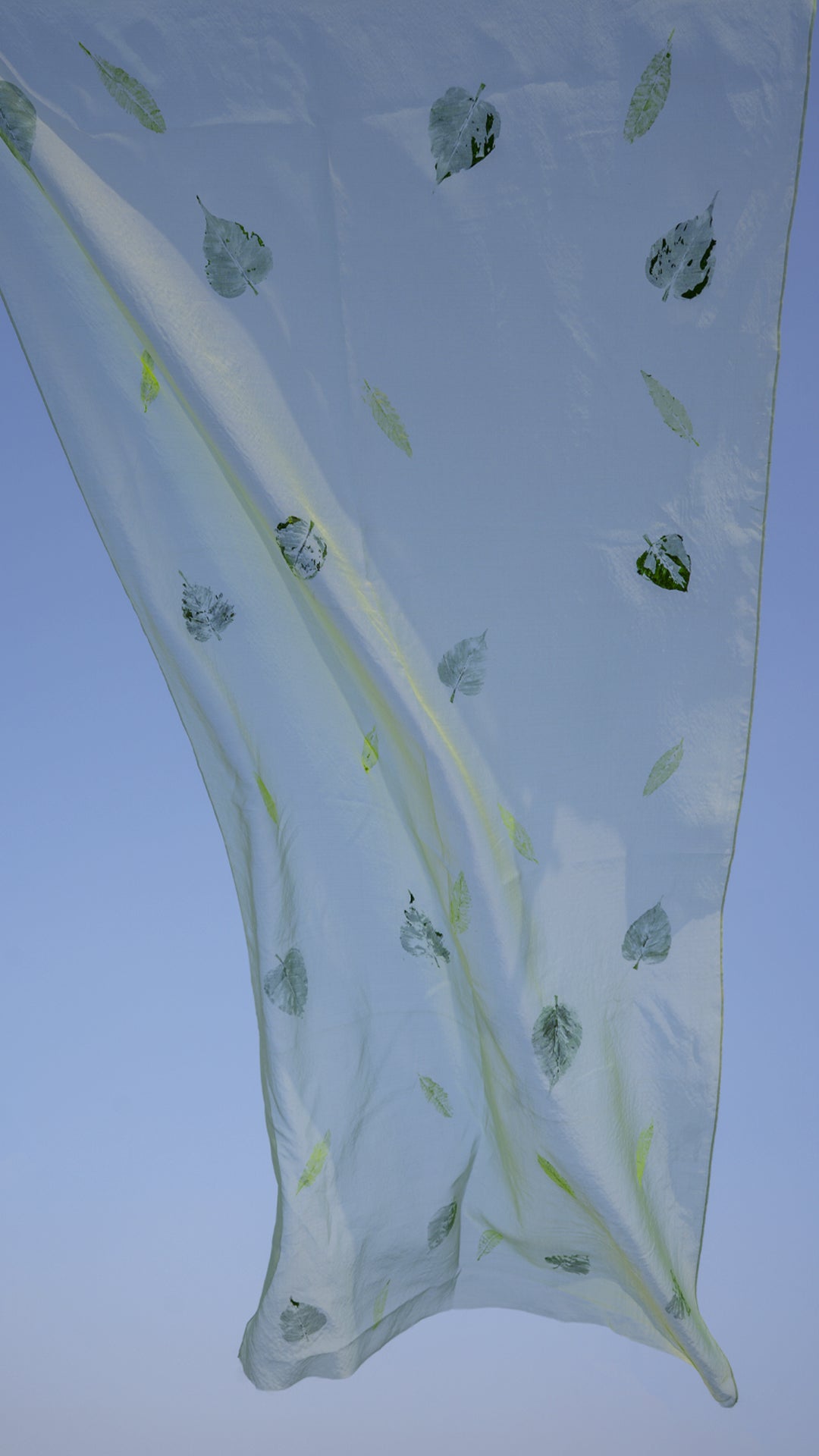 Fresh Leaf • Organza Dupatta