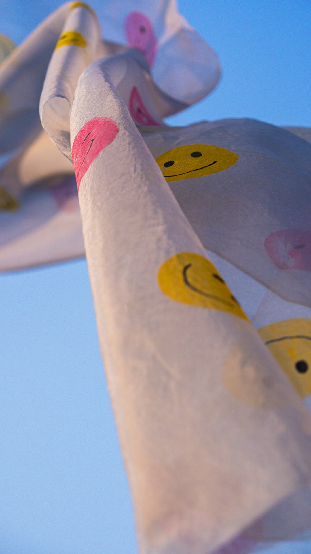 Smiley Emoji • Organza Dupatta